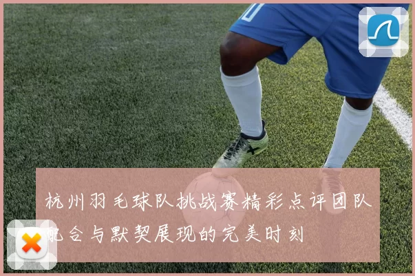 杭州羽毛球队挑战赛精彩点评团队配合与默契展现的完美时刻