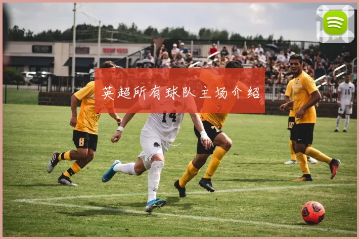 英超所有球队主场介绍