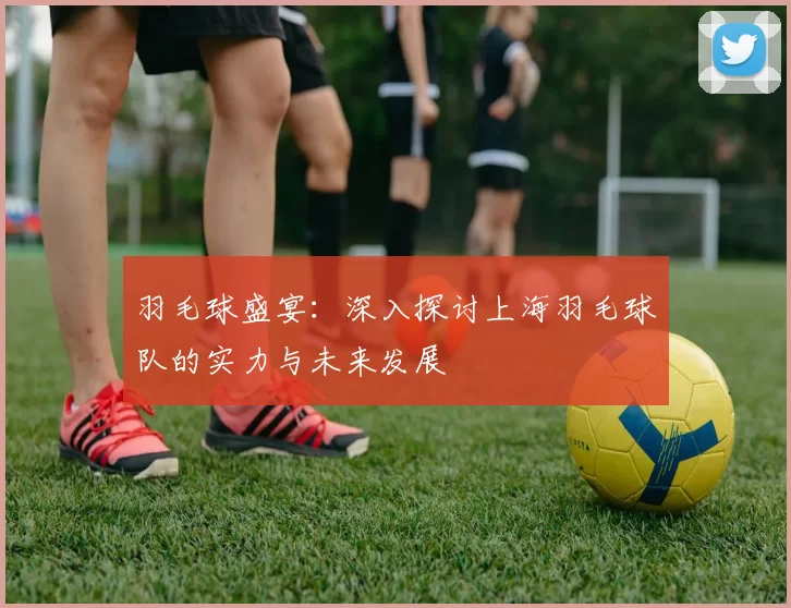 羽毛球盛宴：深入探讨上海羽毛球队的实力与未来发展