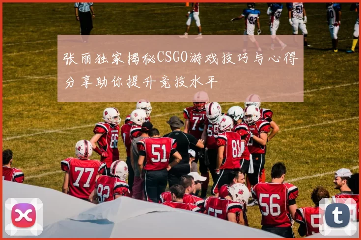 张丽独家揭秘CSGO游戏技巧与心得分享助你提升竞技水平