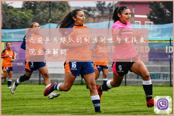 西安乒乓球队的耐力训练与竞技表现全面解析