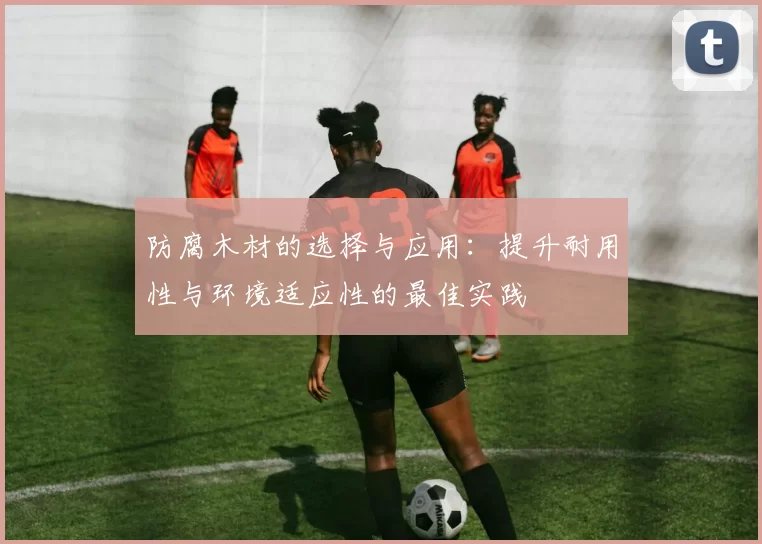 防腐木材的选择与应用：提升耐用性与环境适应性的最佳实践